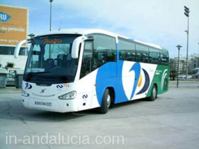 Malaga airport bus services